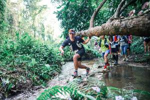 BIB: 
                            <button type="button" onclick="openModal(25464978)" class="btn btn-primary btn-sm float-right btn-popup" data-toggle="modal" data-target=".modal-high-quality">
                        <i class="fas fa-shopping-cart"></i> Add to Cart
                    </button>
                                            <button type="button" onclick="isThisMe(25464978, true)" class="btn btn-success btn-sm float-right btn-popup btn-isme hidden" data-toggle="tooltip" data-placement="bottom" title="นี่คือรูปของคุณใช่ไหม คลิกที่นี่เพื่อเอาเข้าอัลบั้ม">
                        <i class="fas fa-plus"></i> Add to album
                    </button>
                    <button type="button" onclick="isThisMe(25464978, false)" class="btn btn-warning btn-sm float-right btn-popup btn-isnotme hidden">
                        <i class="fas fa-ban"></i> Remove from album
                    </button>